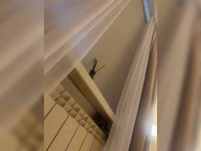 Ekaterina2221 webcam