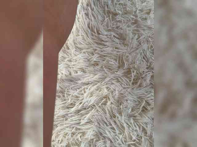 Ekaterina2221 webcam