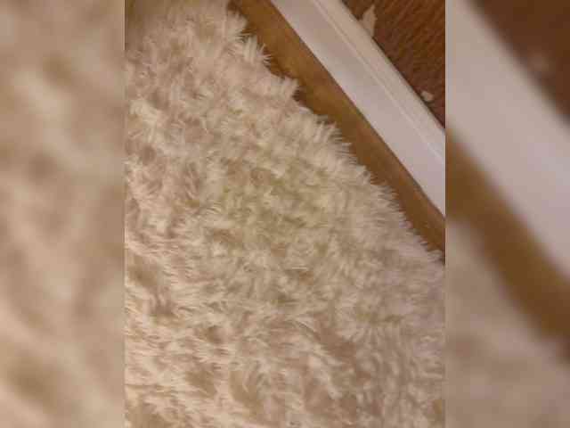 aniram2221 aniram2221