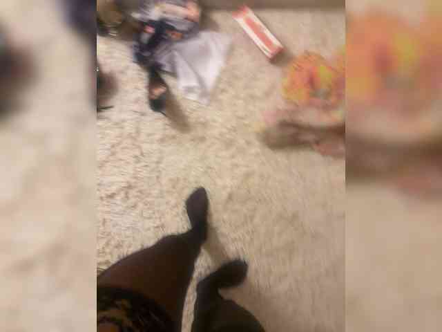 Ekaterina2221 webcam