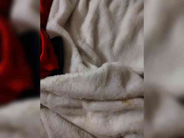 aniram2221 aniram2221