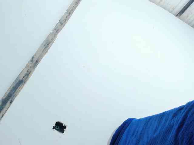 terryy-25 webcam