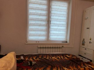 UnityVibes Porn Show