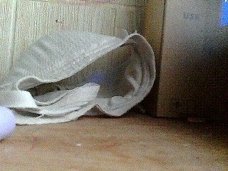 mollyflowers Porn Show