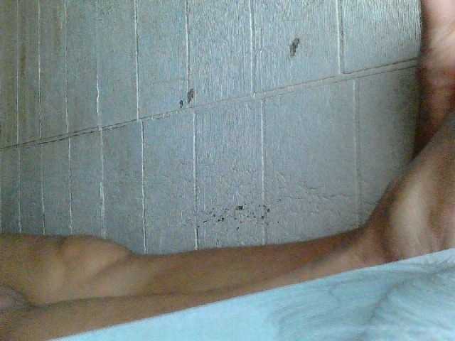 Asiankitties's BongaCams show and profile