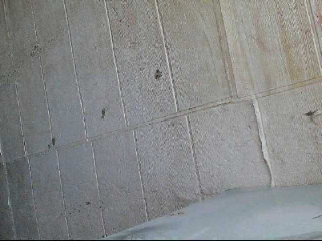 Asiankitties's BongaCams show and profile