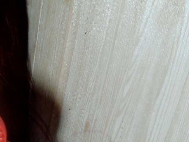 Asiankitties's BongaCams show and profile