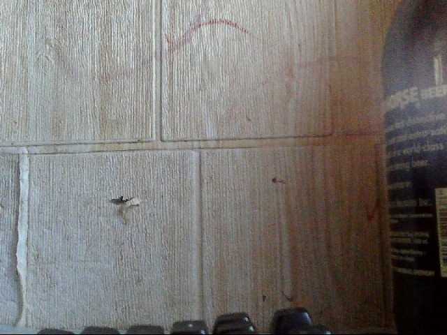 Asiankitties's BongaCams show and profile