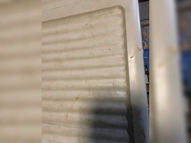 Asiankitties's BongaCams show and profile