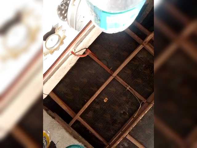 Asiankitties's BongaCams show and profile