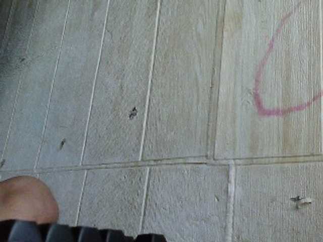 Asiankitties's BongaCams show and profile