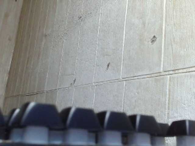 Asiankitties's BongaCams show and profile