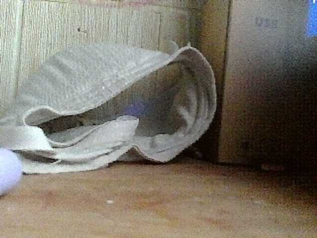 Asiankitties's BongaCams show and profile