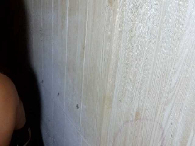 Asiankitties's BongaCams show and profile