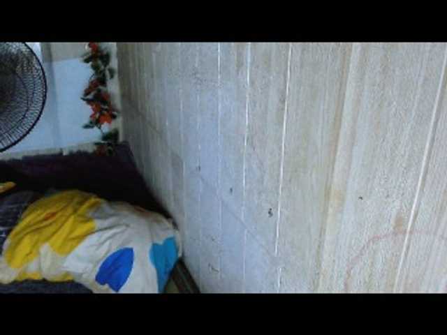 Asiankitties's BongaCams show and profile