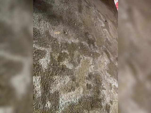 Asiankitties's BongaCams show and profile