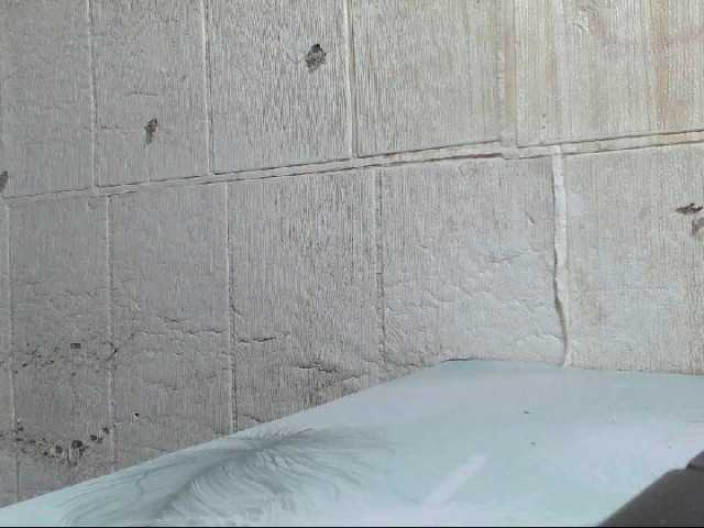 Asiankitties's BongaCams show and profile