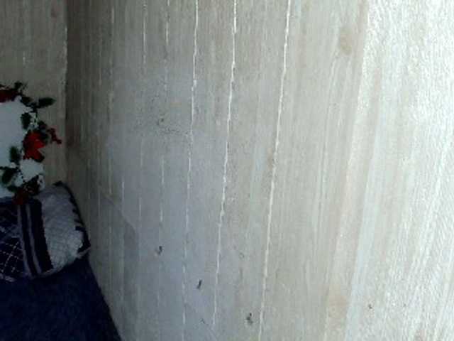 Asiankitties's BongaCams show and profile