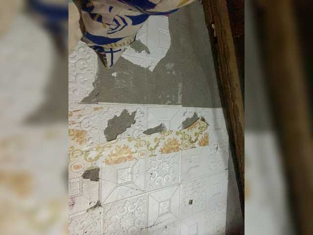 Asiankitties's BongaCams show and profile