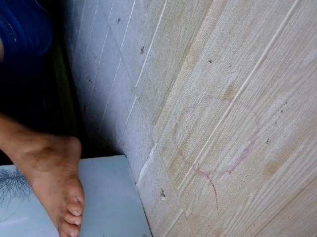 Asiankitties's BongaCams show and profile