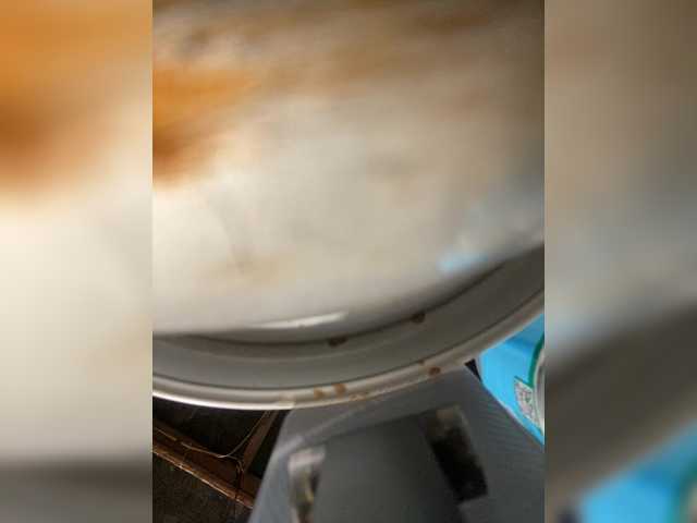 Asiankitties's BongaCams show and profile