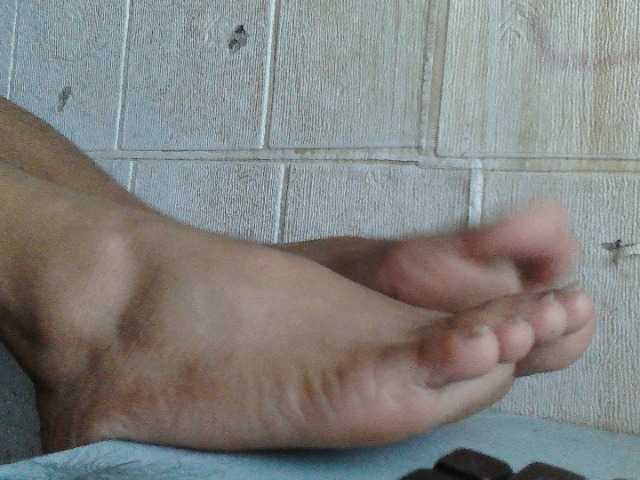 Preview of mollyflowers