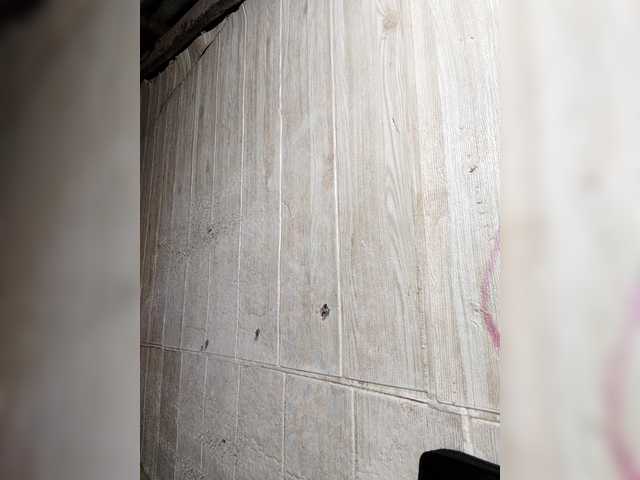 Asiankitties's BongaCams show and profile