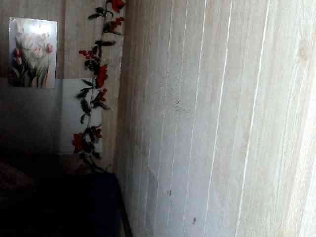 Asiankitties Asiankitties