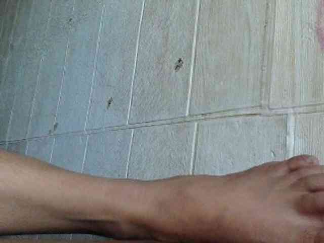 Asiankitties Asiankitties