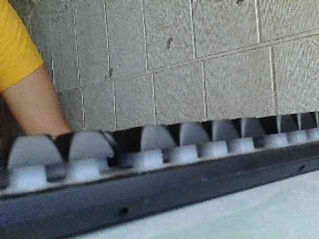 Asiankitties Asiankitties