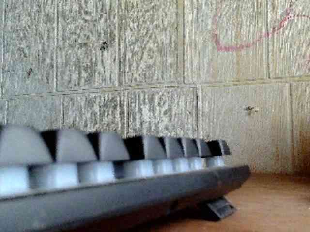 Asiankitties Asiankitties