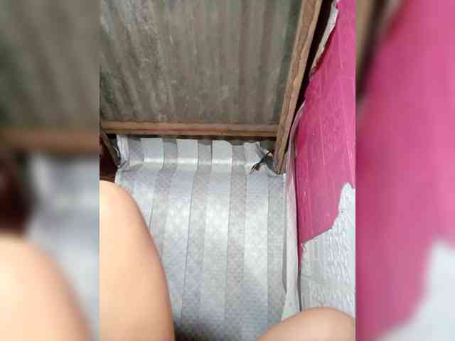 Sweet69xx webcam