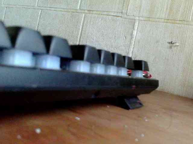 Asiankitties Asiankitties