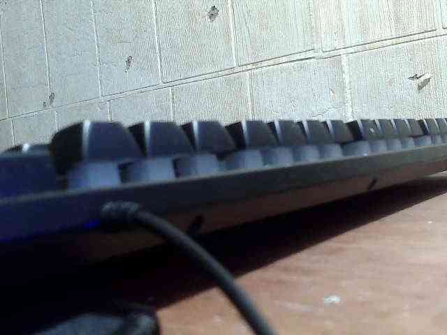 Asiankitties Live Webcam on BongaCams