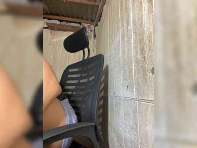 Asiankitties Asiankitties