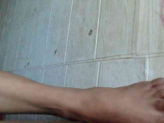 Asiankitties Asiankitties