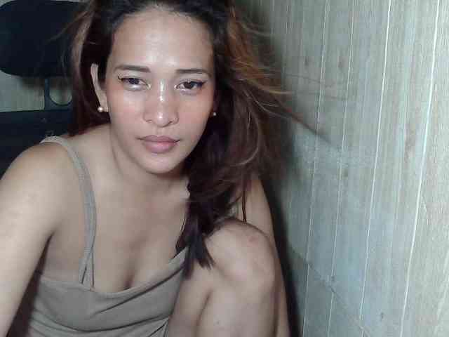 Asiankitties Asiankitties