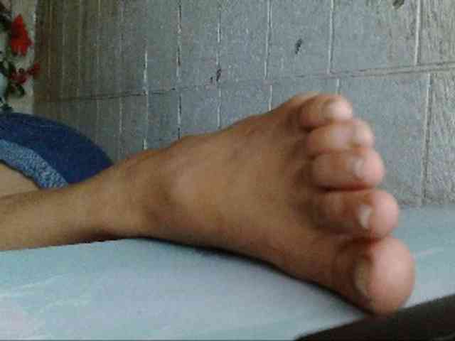 Asiankitties Asiankitties