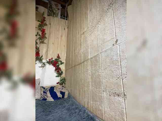 Asiankitties Asiankitties