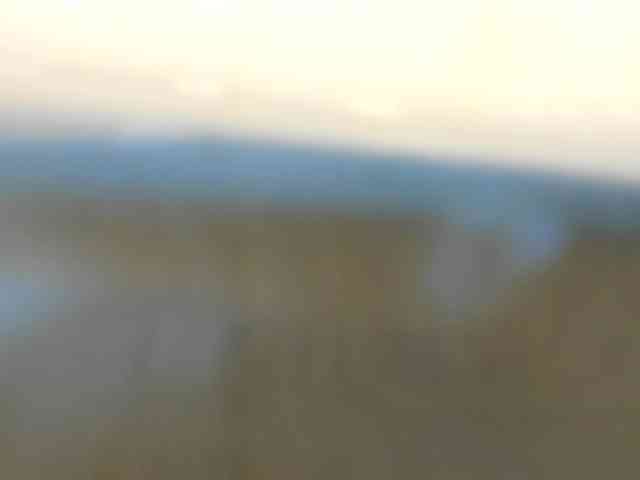 blueeyedzaya-sexy webcam