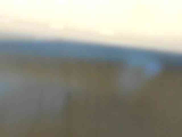 blueeyedzaya-sexy webcam