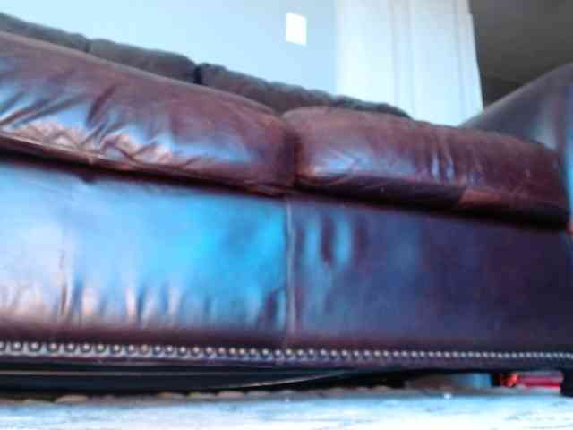 blueeyedzaya-sexy webcam
