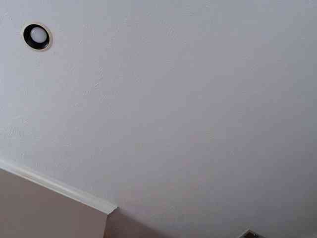 blueeyedzaya-sexy webcam