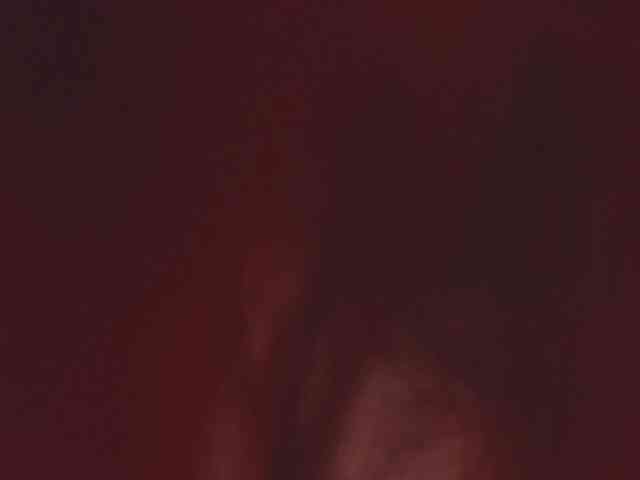 Emily-Foxyy webcam