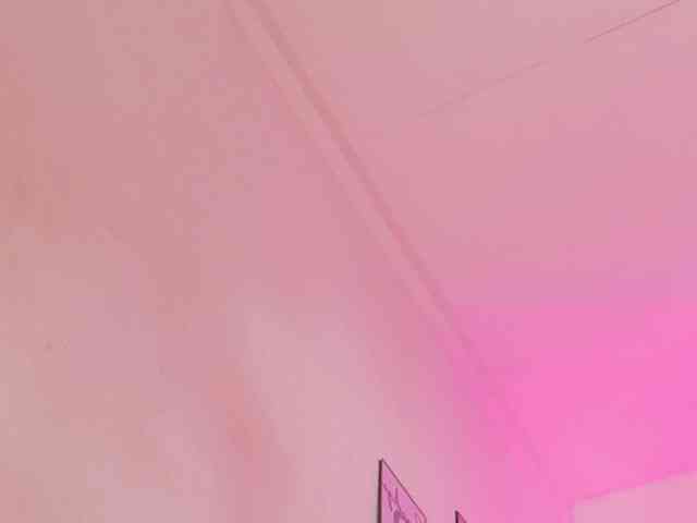 skinnyprinces webcam