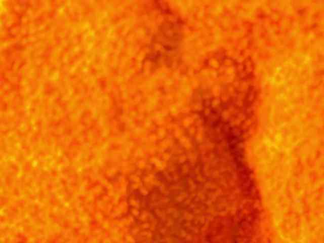 skinnyprinces webcam