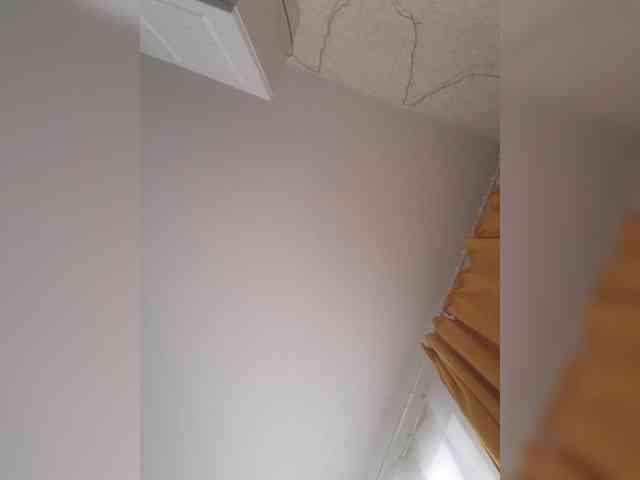 DOMINA_XS webcam