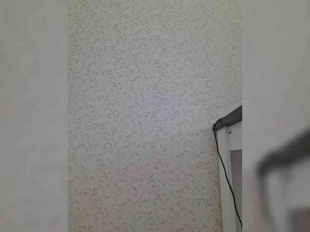 DOMINA_XS webcam