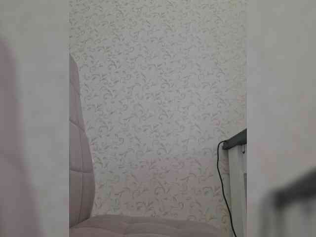 DOMINA_XS webcam