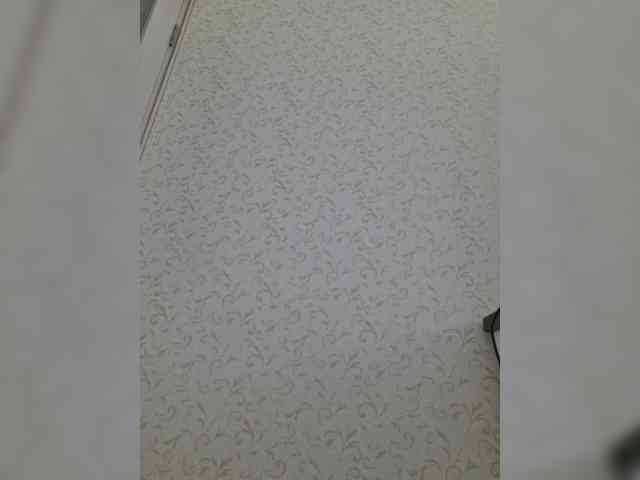 DOMINA_XS webcam